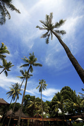 Similar image 1543921