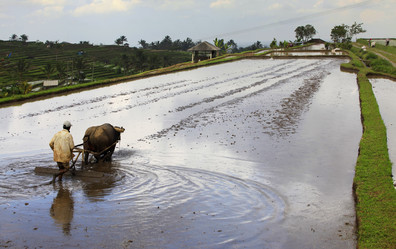 Similar image 1543926