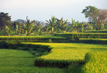 Similar image 1543929