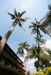 Similar image 1543936