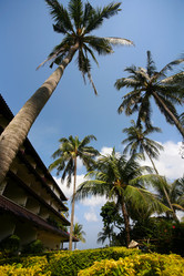 Similar image 1543953