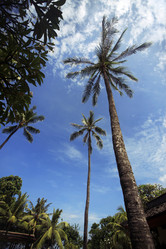 Similar image 1543958