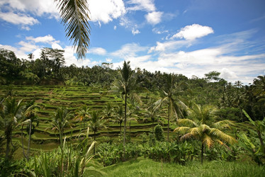 Similar image 1543961