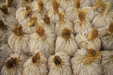 Similar image 1543981