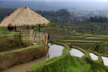 Similar image 1543982