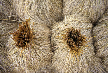 Similar image 1543983