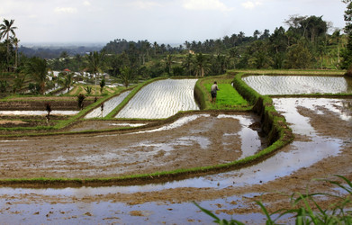 Similar image 1543984