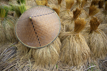 Similar image 1543990