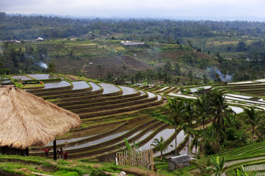 Similar image 1543991