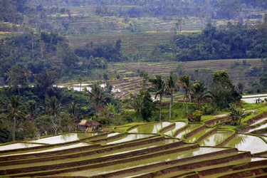 Similar image 1543992