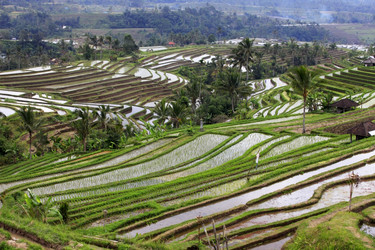 Similar image 1543993