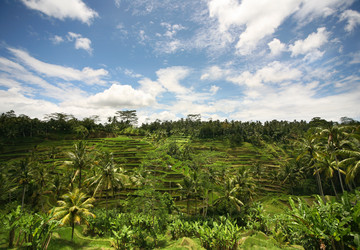 Similar image 1544001