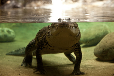 Similar image 1544123