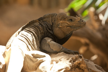 Similar image 1544126