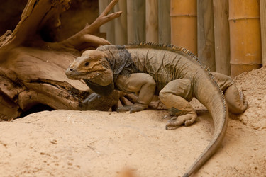 Similar image 1544129