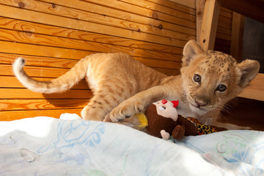 Similar image 1544131