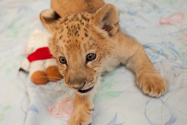 Similar image 1544133