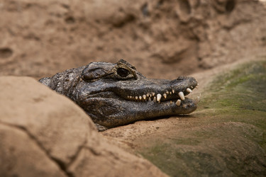 Similar image 1544134