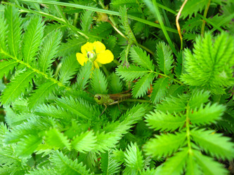 Similar image 1544138