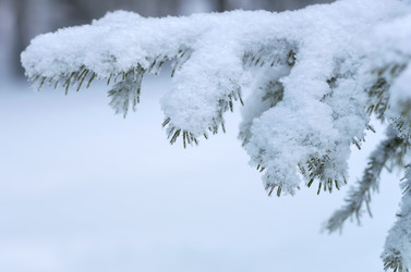 Similar image 1544172