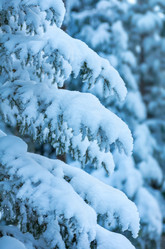 Similar image 1544174