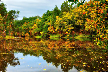 Similar image 1544194