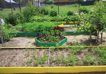 Similar image 1544219