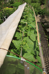 Similar image 1544223