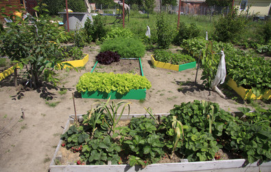 Similar image 1544227