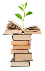 Similar image 1544233