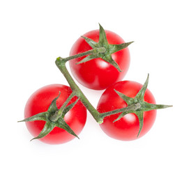 Similar image 1544241