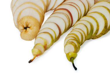 Similar image 1544243