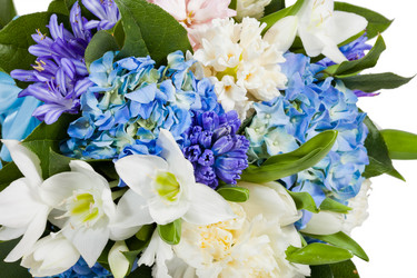 Similar image 1544261