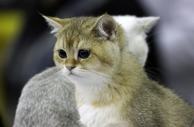 Similar image 1544315