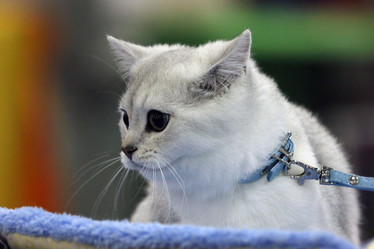 Similar image 1544316