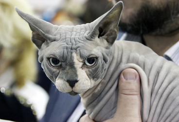 Similar image 1544317