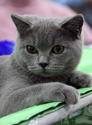 Similar image 1544318