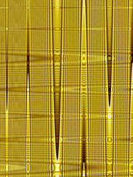 Similar image 1544331