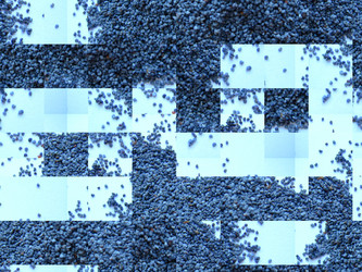 Similar image 1544350