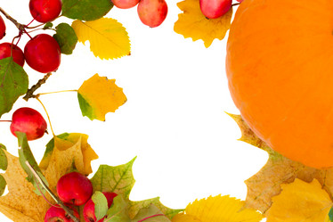 Similar image 1544381