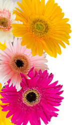 Similar image 1544390