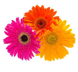 Similar image 1544398