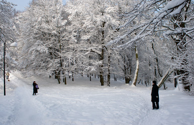 Similar image 1544422