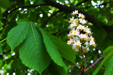 Similar image 1544423