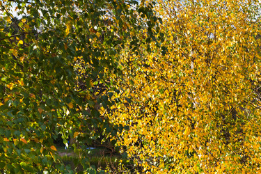 Similar image 1544623