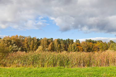 Similar image 1544628