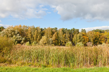 Similar image 1544637