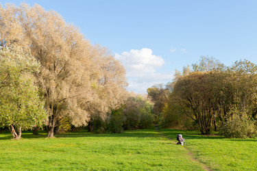 Similar image 1544658