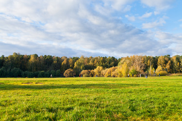 Similar image 1544662