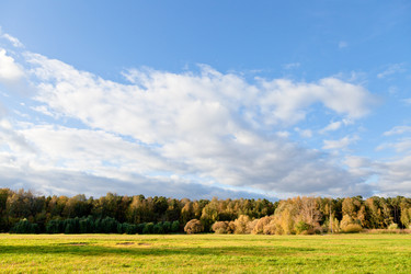 Similar image 1544668